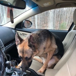 Meet your Posher, Jenna